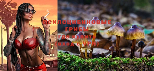 соль ск Алексеевка