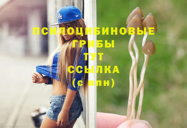 соль ск Алексеевка