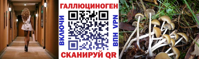 мориарти наркотические препараты  Пикалёво  Псилоцибиновые грибы мицелий  blacksprut как зайти 