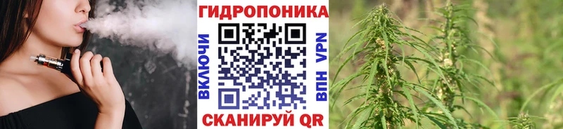 Канабис план Пикалёво